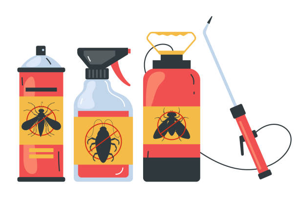 Best Local Pest Control Services  in Treasure Island, FL