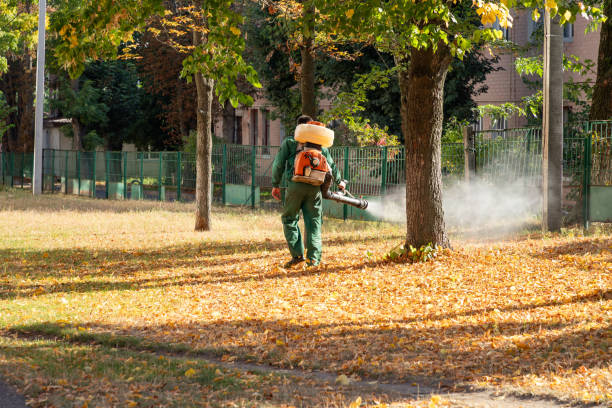 Pest Control Cost in Treasure Island, FL