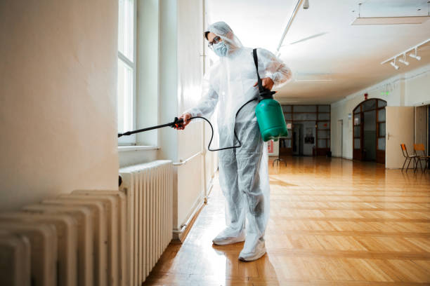Wildlife Control Services in Treasure Island, FL